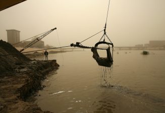 Abu Dhabi’s "Wondering Where the Lions Are" (And Why The Corals Won't Come Back)