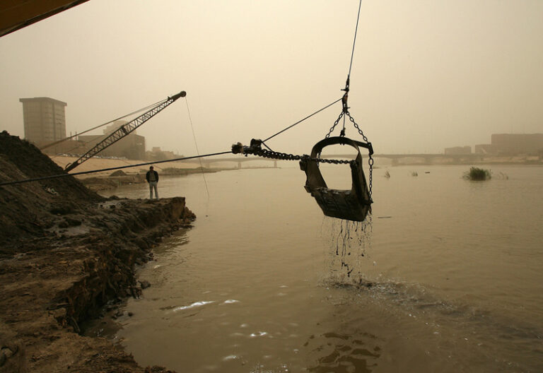 Abu Dhabi’s "Wondering Where the Lions Are" (And Why The Corals Won't Come Back)