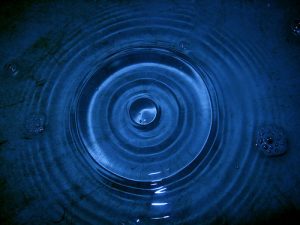 Help Green Prophet Educate the World on Earth Day