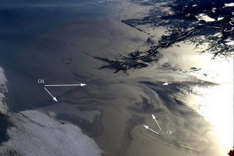 Method To Seal Spill in Kuwait Could Work for Gulf Oil Spill