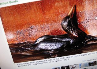 Egypt Fines Russia for Cleaning Oil Bilge in Red Sea