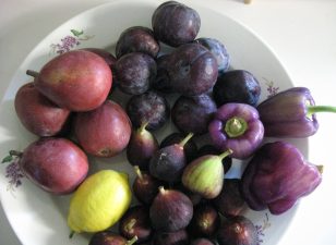 Israeli Food Chemist Answers Nutrition Questions Online