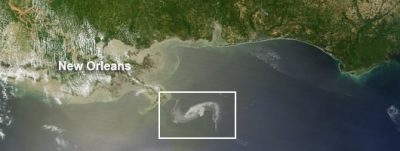 Blame BP for Massive Gulf of Mexico Oil Spill?