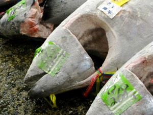 Frozen Fish vs. Phosphates Stirs Up A Government Reaction