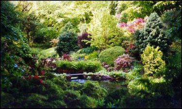 How to create a food forest garden, by Martin Crawford