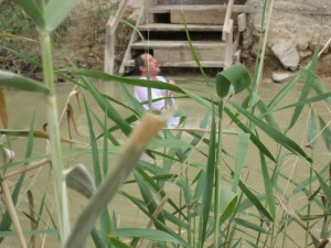 Baptizing In Jordan's Holy Sewage, The Tour and the Report