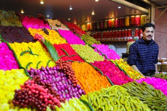 Drip Irrigation Gives Hope to Drought Plagued Farmers in Syria