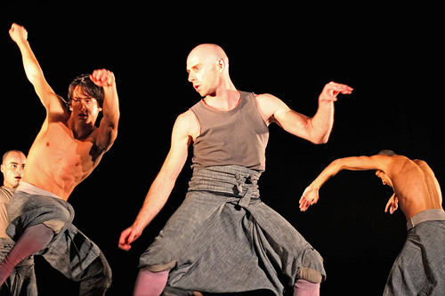 vertigo eco-arts village photo