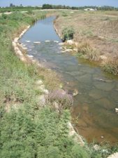 Neighbors' Paths: Eco-Tourism AND Eco-Peace!