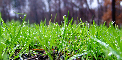 Israeli Government Starting To Address Water Crisis With Low Flow Faucet Aerators