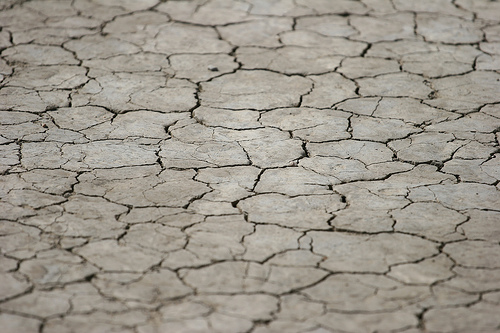 6 Tips for Conserving Water in Israel and the Middle East