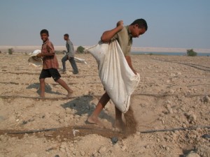 FoEME Helps Israel, Jordan Cut Down Flies