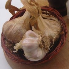 PART III: The ABCs of Middle-Eastern Spice Medicines from Hyssop to Nutmeg