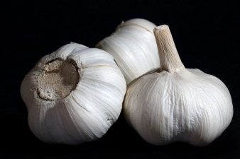 How Green Is Your Garlic?
