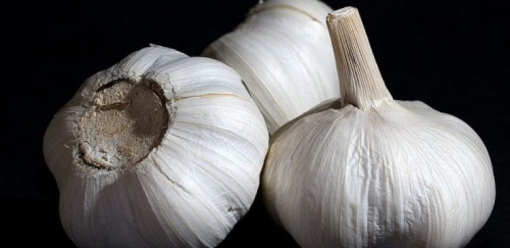 Garlic_Bulbs-500x333.jpg