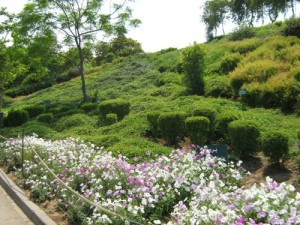 Cairo's Green Lung – Al-Azhar Park