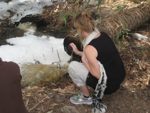 Unholy Waters: The Jordan River is Nearly Dead, Maurice Reports
