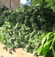 Za’atar Pesto Recipe From Israel’s Slow Food Chef