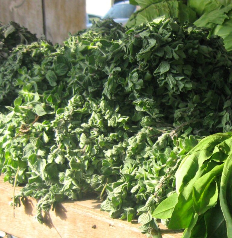 Za’atar Pesto Recipe From Israel’s Slow Food Chef