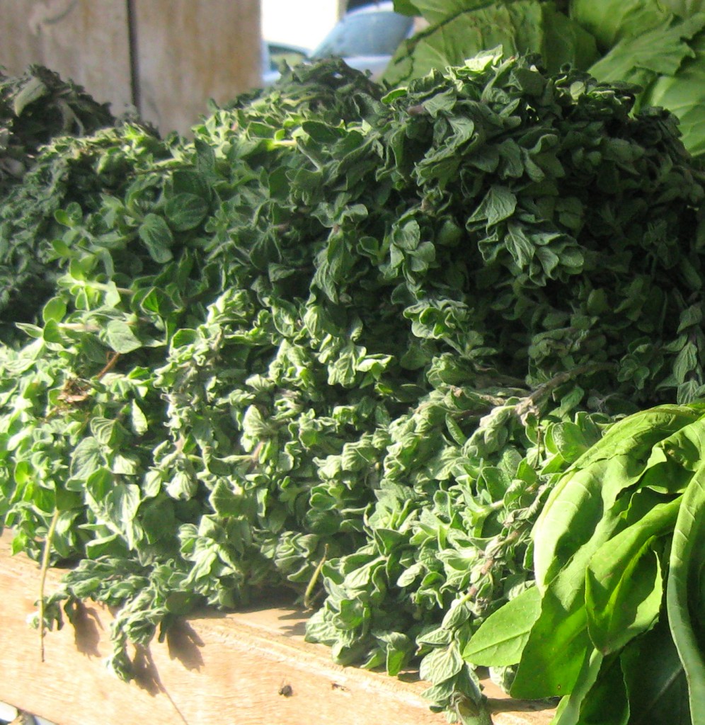 Za’atar Pesto Recipe From Israel’s Slow Food Chef