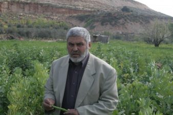 EcoBaladi Sprouts Organic Vegetables From the West Bank Valley of Thorns (Wadi Fuqin)