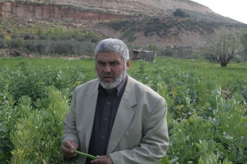 EcoBaladi Sprouts Organic Vegetables From the West Bank Valley of Thorns (Wadi Fuqin)