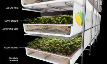 Vertical Farming in Masdar City? AeroFarms' Soil-less Solution