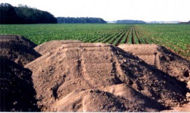 N-Viro International Smells Lucrative Sewage Sludge in the Center of Israel