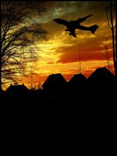 Bio-Fuels and the Aviation Industry