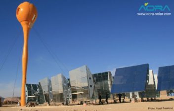 Aora Makes The Desert Bloom With Sunshine Flower Power