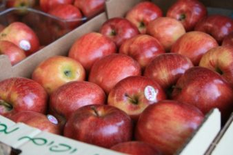 Israel Scraps Tax on Fresh Produce
