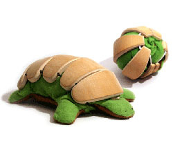 Can Eco-Playful Sabras Do Bamboo?