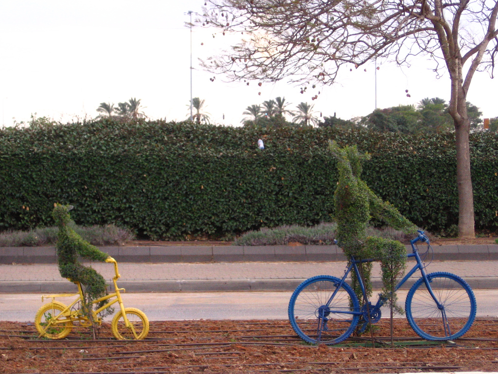 biking cycling sculpture israel photo
