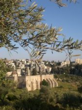 The Hills are Alive: Music Goes Green in Jerusalem's Valley of the Cross