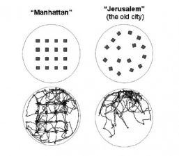 Tel Aviv “City Rats” Give New Ideas to Urban Planners