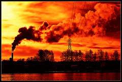 Greening Local Politics