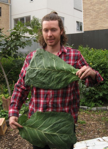 Hearty Roots Puts the Community in CSAs