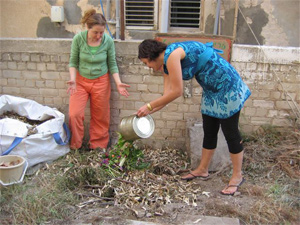 Biofuels Spark Regional Cooperation Between Israel, Palestinians and Germany