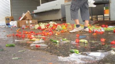 Gleaning the Shuk: Fugee Fridays Feeds Refugees With Produce Donations