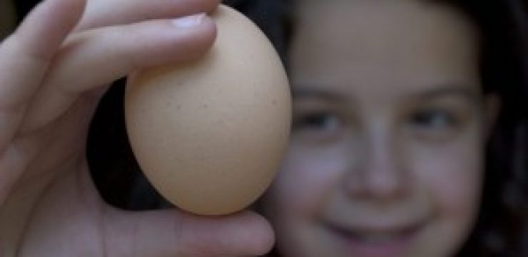 egg-300x199.jpg