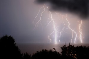 Holy Electrical Bacteria, Batman!