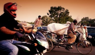 World Usability Day Launches Global Transport Challenge