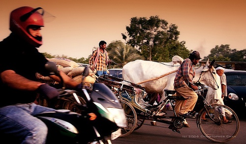 World Usability Day Launches Global Transport Challenge