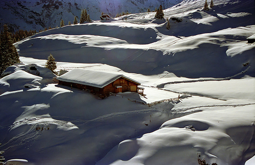 Footprints in the Snow