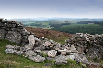 Eco Rabbi: Stones and Health