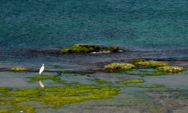 Real Estate Developers and Environmentalists Clash Over Nahal Betzet Beach in Western Galilee