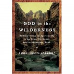 Review of 'God in the Wilderness'