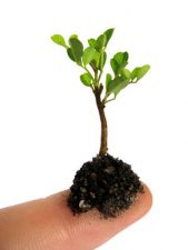 10 Twitter Tips for Cleantech Companies