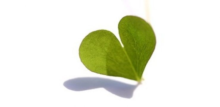 green-heart-green-prophet-israel1.jpg