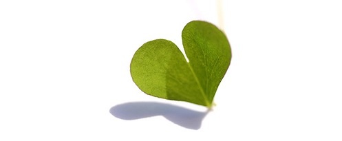 If You Love Green Prophet, Spread the Love